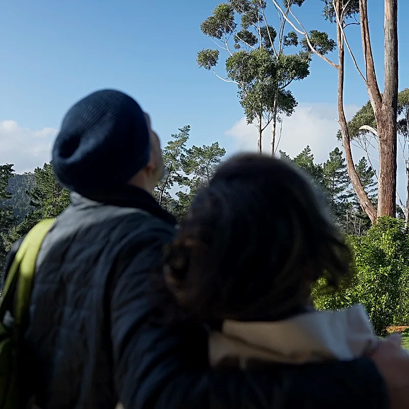 A couple arm in arm, looking out across the Matakana valley