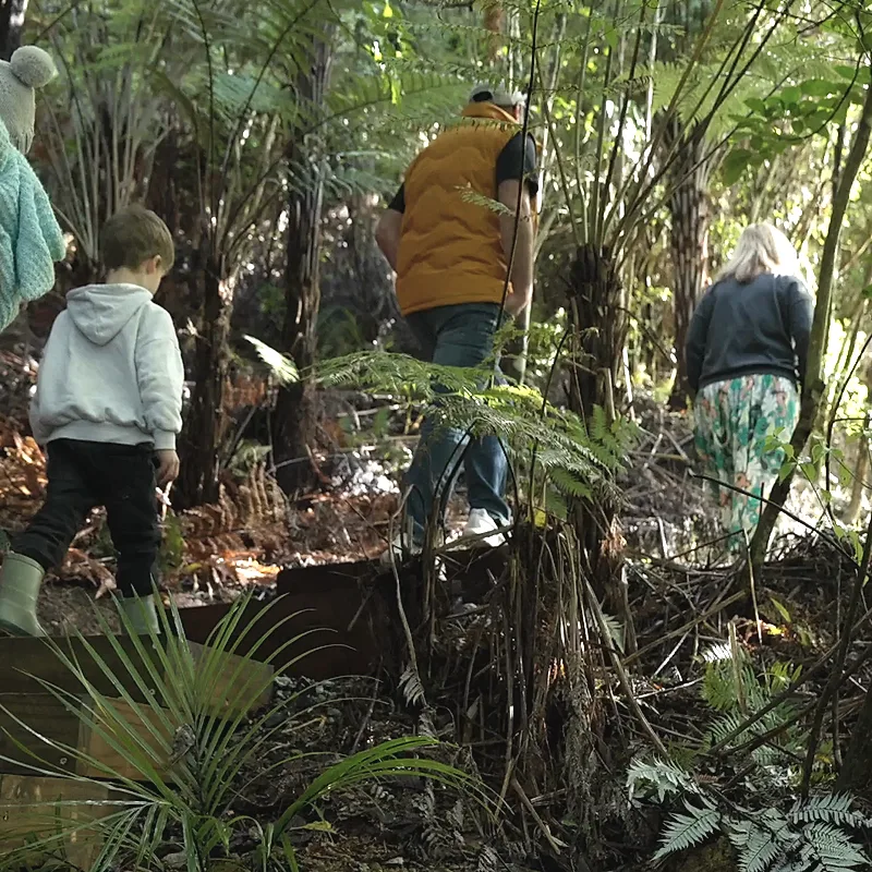 A family picking their way along the track under the tree ferns